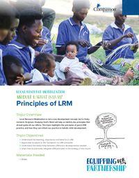 What is LRM? Principles of LRM