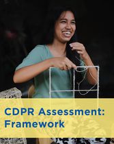 Managing the CDPR Assessment: Framework