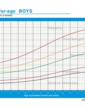 BMI Sheet for Boys (5-19 years old)