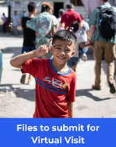 Files to submit for Virtual Visit